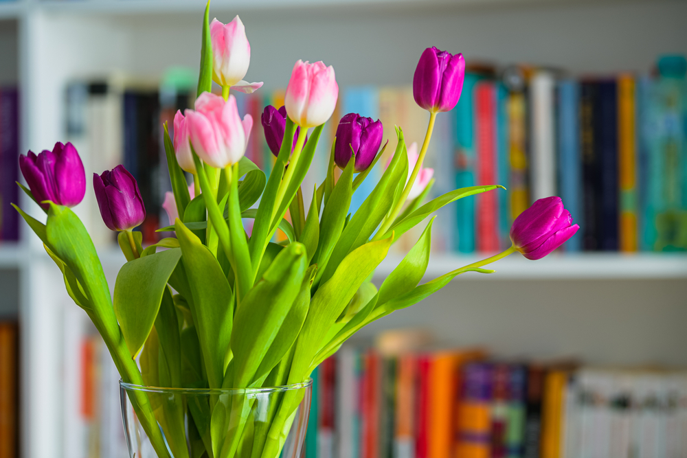 Paarse tulpen in een vaas - Tuincentrum Thiels