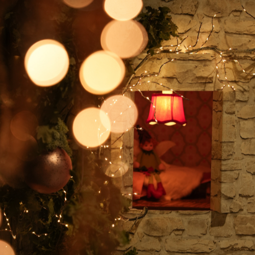 Kerstverlichting | Tuincentrum Thiels