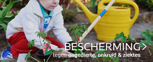 Bescherming tegen onkruid, ziektes & ongedierte in moestuin webshop tuincentrum thiels