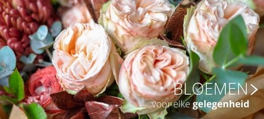 Bloemen webshop - Thiels