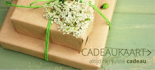 Cadeaukaart webshop - Thiels