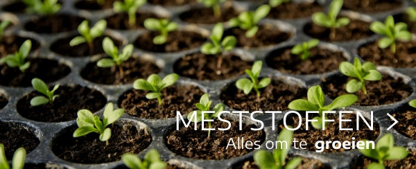 meststoffen moestuin webshop tuincentrum thiels