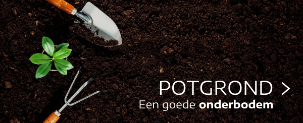 potgrond