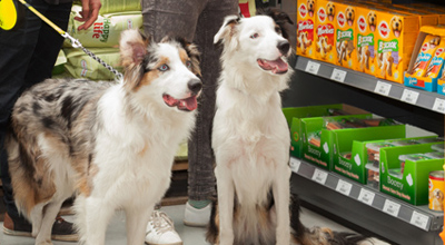 Honden tuincentrum thiels heist-op-den-berg leuven mechelen