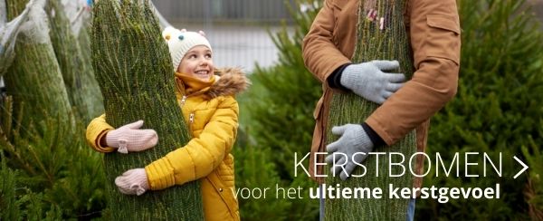 Kerstbomen - Thiels
