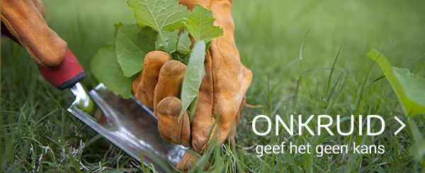 onkruid gazon tuincentrum thiels webshop