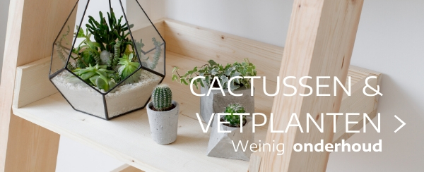 Kamerplanten Tuincentrum Thiels