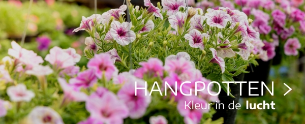 Hangpotten