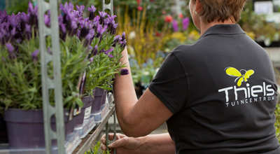 Vaste planten tuincentrum thiels heist-op-den-berg leuven mechelen