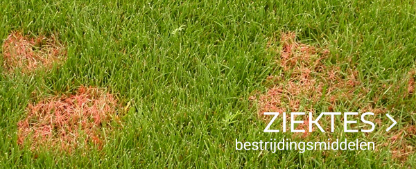 Ziektes gazon tuincentrum thiels online webshop