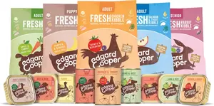 Demodag Edgard & Cooper