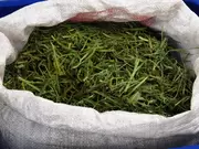 Compost maken Compost maken