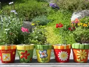 Containerplanten Containerplanten