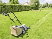 Gazononderhoud Gazononderhoud