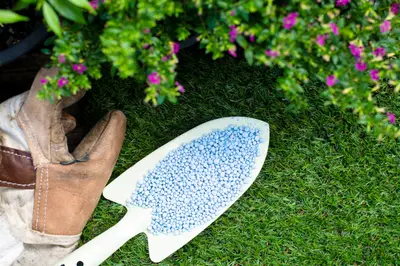 15 grote en kleine tuinklussen voor april