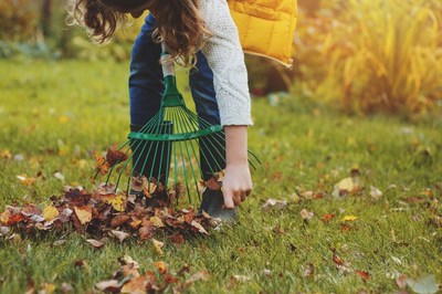 15 tuin- en balkontips voor oktober