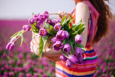 Hoe houd ik mijn tulpen zo lang mogelijk mooi