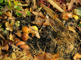 Compost I Koop het bij Tuincentrum Thiels