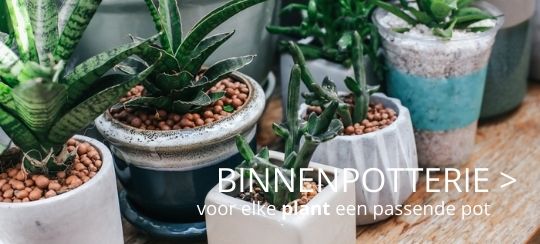 Thiels - binnenpotterie - webshop
