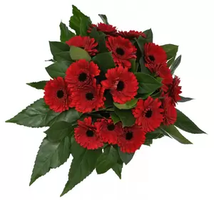 Boeket rode bloemen - afbeelding 1