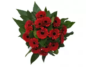 Boeket rode bloemen - afbeelding 2