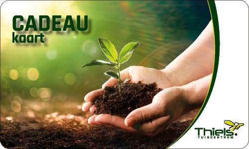 Digitale Cadeaukaart via mail